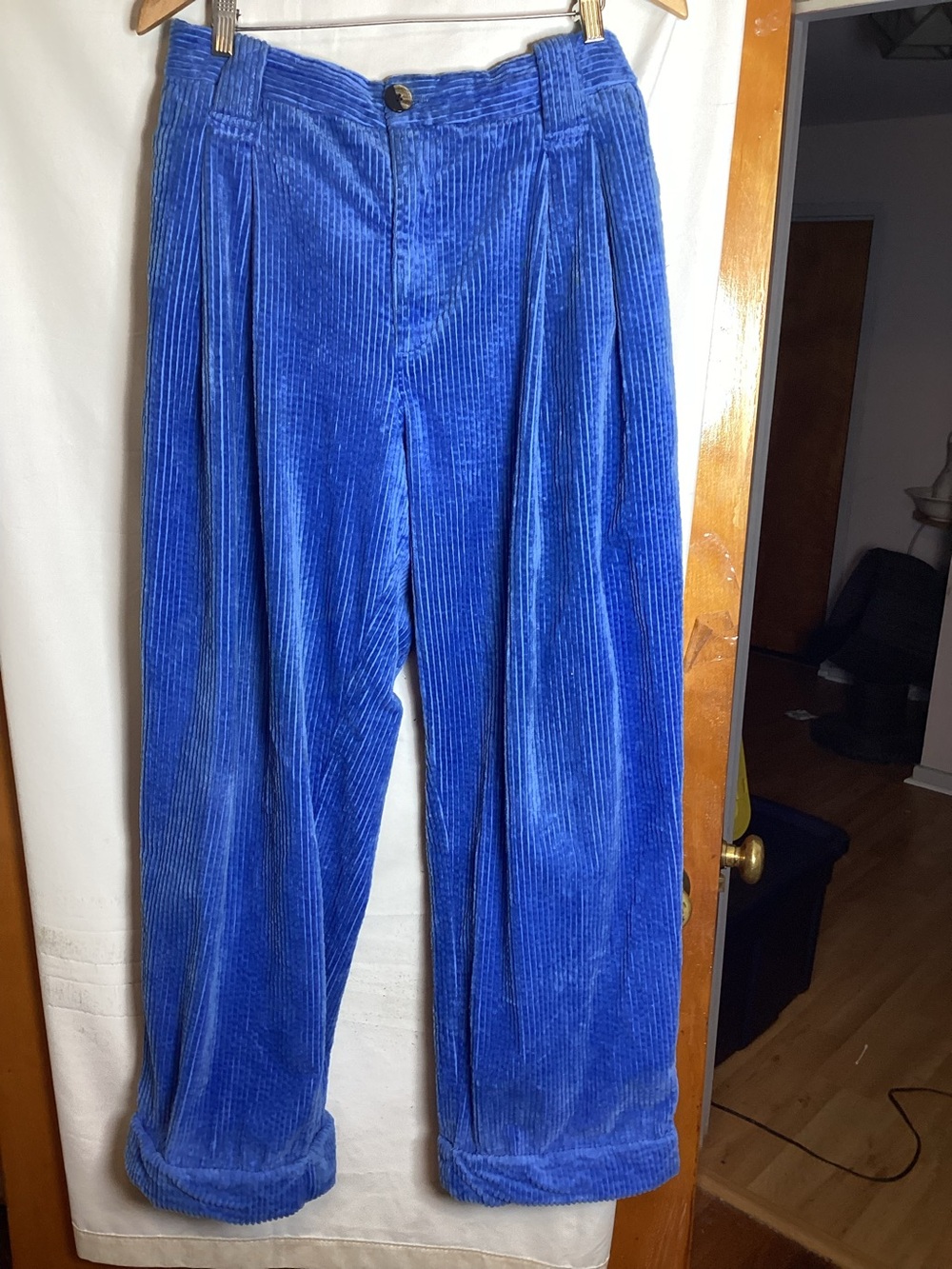 GANNI a thick corduroy pleated relaxed fit pants with side pockets SZ Euro 38